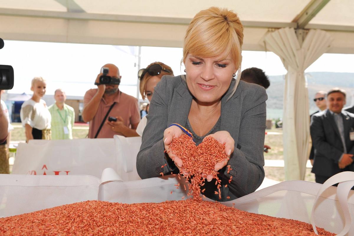 Elena Udrea