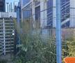 Fără fotbal şi blocat de procese » Imagini dezolante cu stadionul din Târgu Mureș