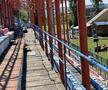 Fără fotbal şi blocat de procese » Imagini dezolante cu stadionul din Târgu Mureș