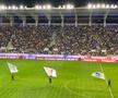 Petrolul - FCSB, înainte de meci