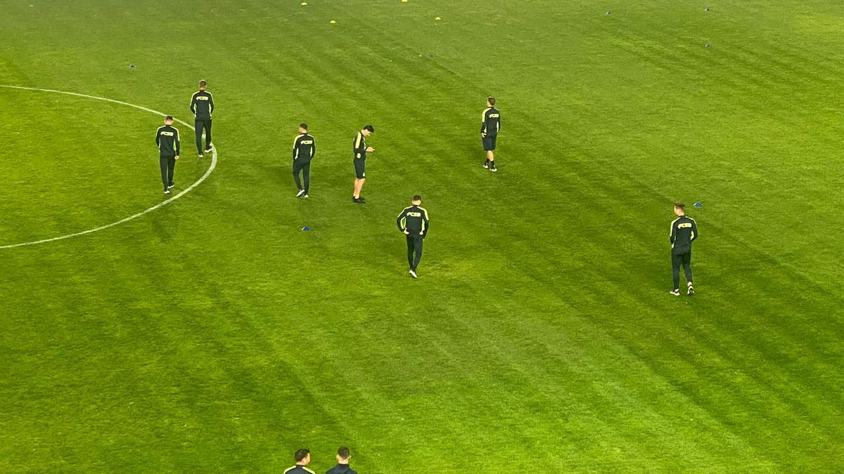 Petrolul - FCSB, înainte de meci