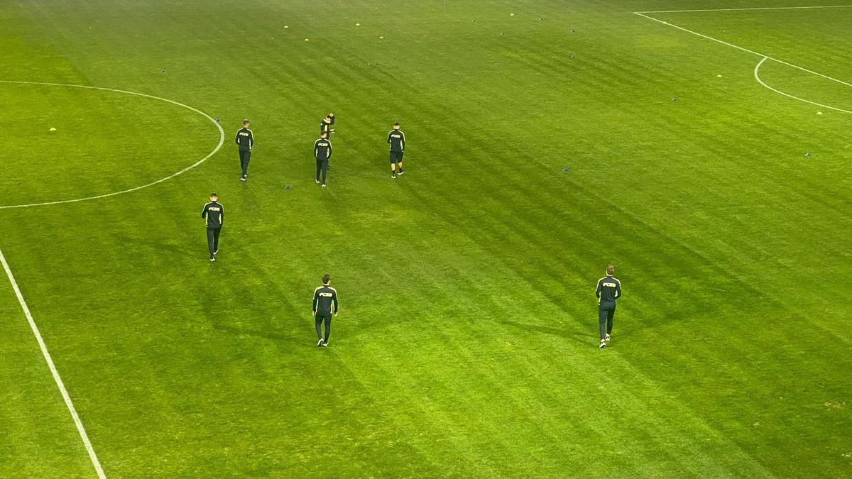 Petrolul - FCSB, înainte de meci