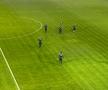 Petrolul - FCSB, înainte de meci