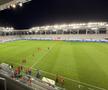 CS Dinamo - Dinamo, imagini înaintea partidei din Cupa României. FOTO: GSP.ro