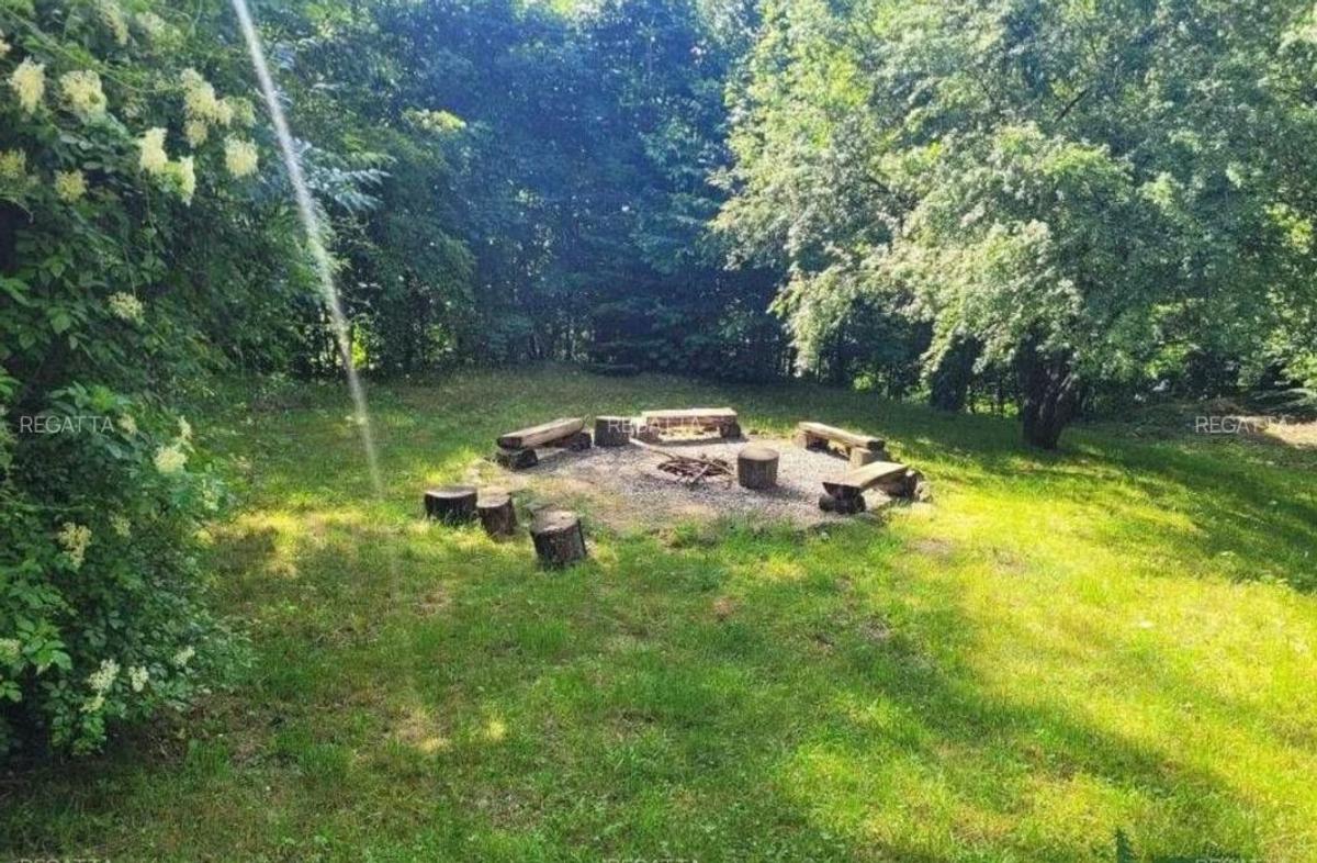 Conacul lui Cornel Dinu din Sinaia