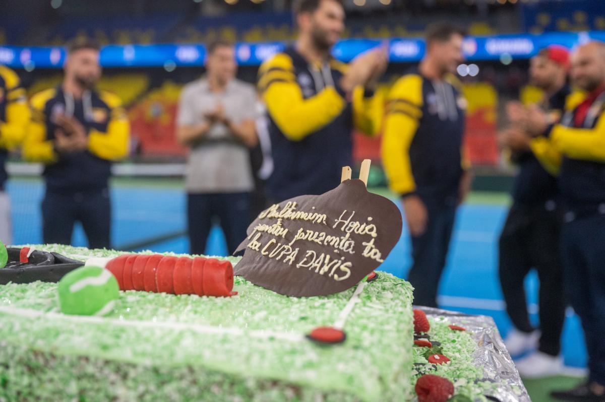 Retragere Horia Tecău