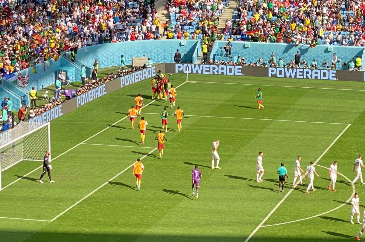 Camerun - Serbia, cele mai spectaculoase imagini din timpul partidei