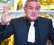 Gigi Becali / foto: Arhivă GSP