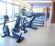 Gloria Sports Arena, doar antrenamente