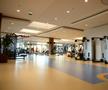 Gloria Sports Arena, doar antrenamente