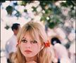 Brigitte Bardot Foto: Imago Images