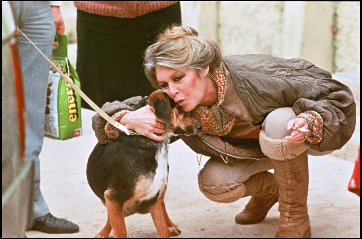 Brigitte Bardot - diverse