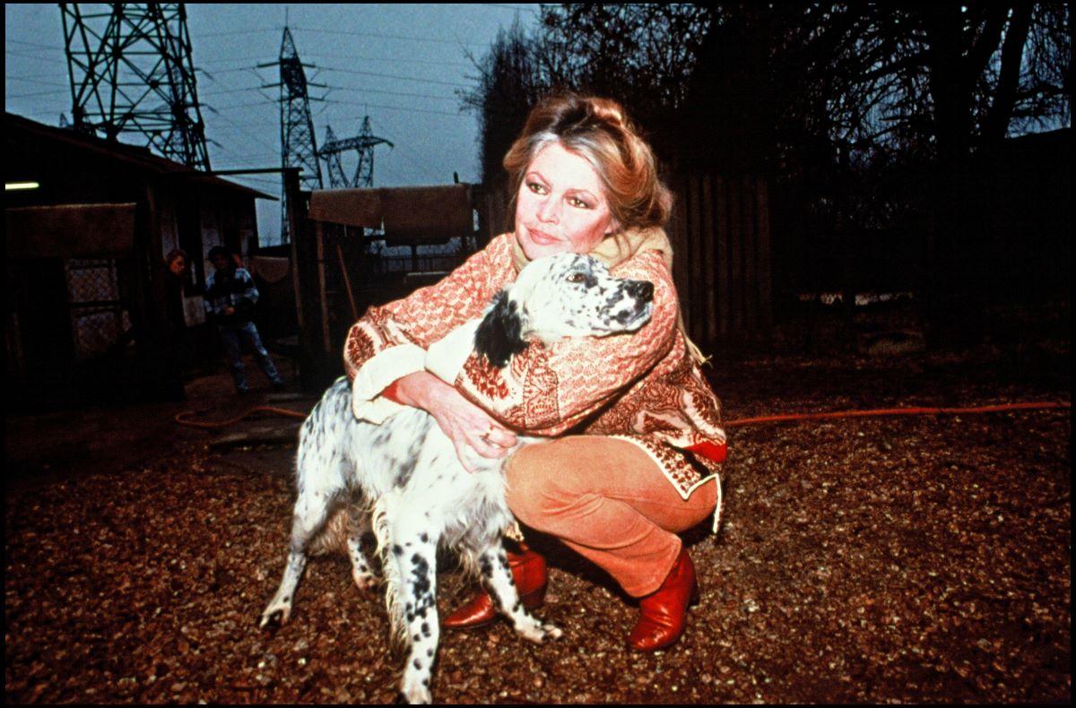 Brigitte Bardot - diverse