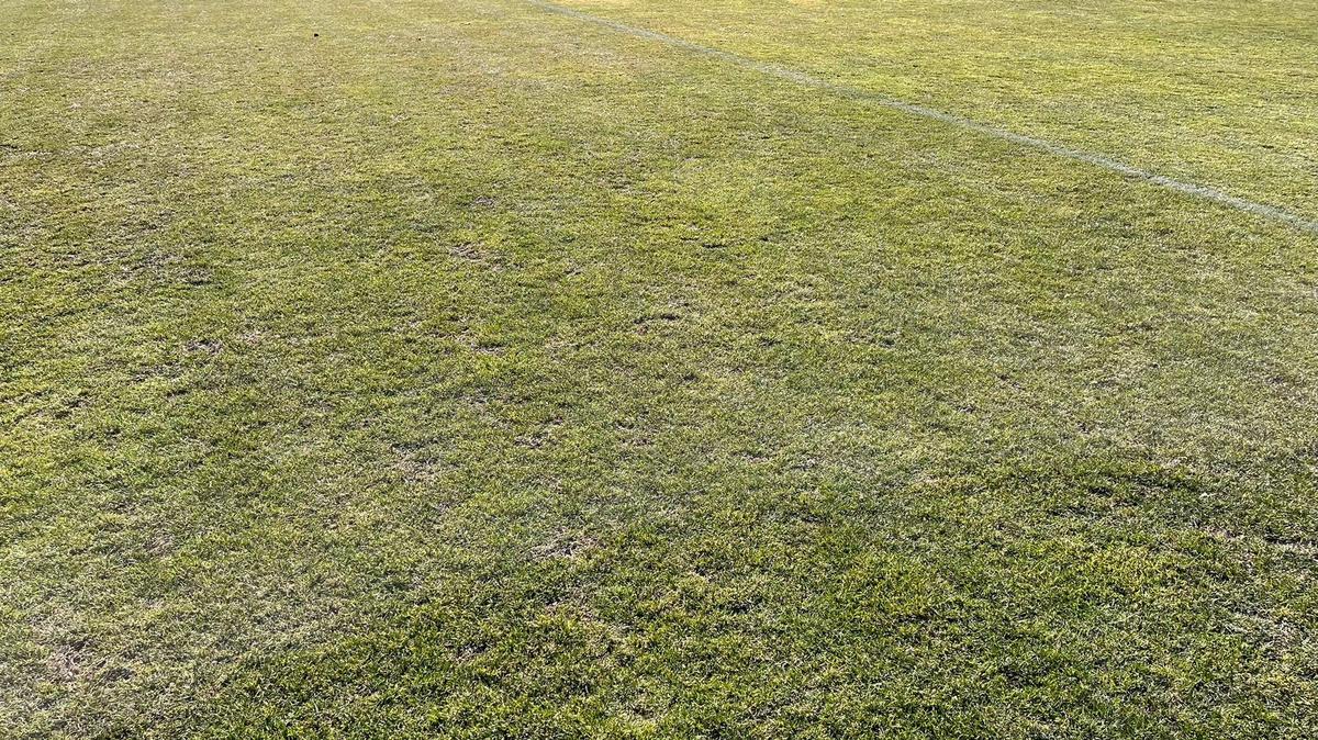 GSP a vizitat stadionul lui Dinamo cu o zi înainte de Derby de România » Cum arată gazonul