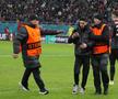 Suporter pe gazon la Fenerbahce - FCSB / Foto: Andrei Furnigă (GSP)