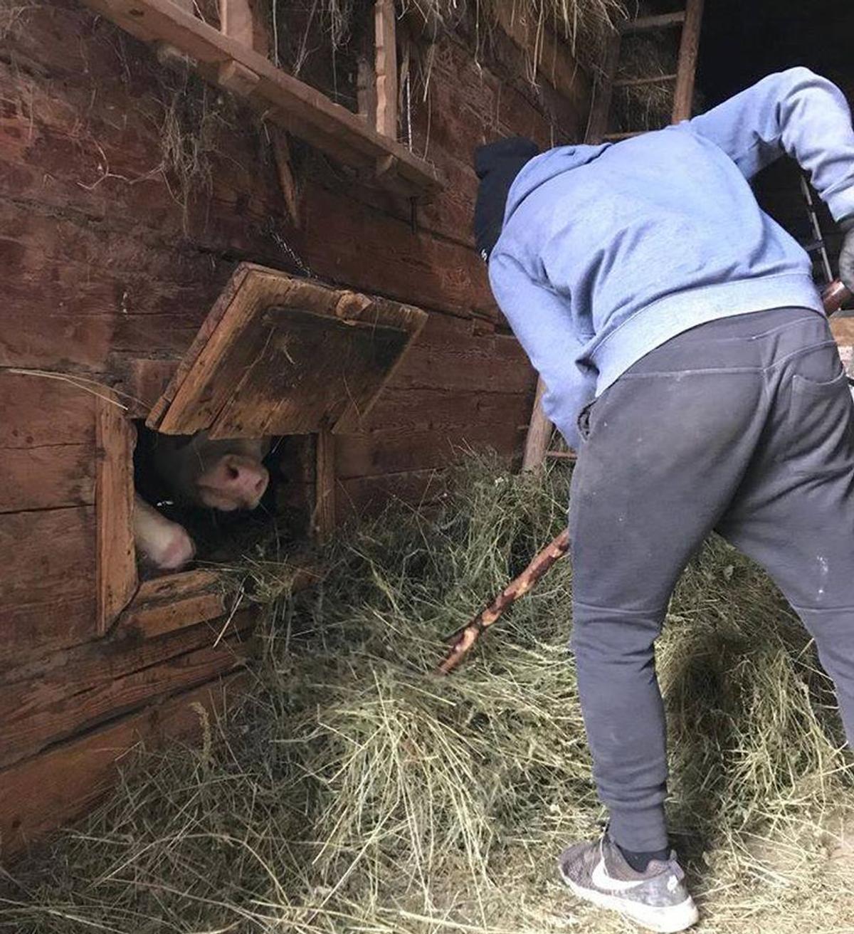 GALERIE FOTO. Un jucător al lui Sepsi gustă din plin viața la țară pe timpul izolării