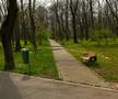 CORONVIRUS. Colorate, dar dezolante. Cum arată locurile de joacă la ora la care, într-o duminică însorită, erau invadate de copii
