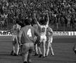 România - Spania 3-1 FOTO. Arhiva GSP