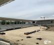 FOTO Stadioane - Arcul de Triumf, Ghencea, Giulești