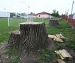 Zmeii Ogrezeni - Luceafărul Trestieni (L4 Giurgiu) FOTO: Raed Krishan