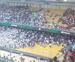 Suporteri Olympiakos - Fiorentina