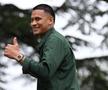 Alphonse Areola