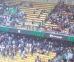 Suporteri Olympiakos - Fiorentina