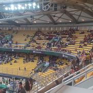Suporteri Olympiakos - Fiorentina