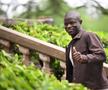 Ngolo Kante