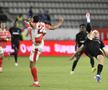 Dinamo - FCSB, cadre de meci / Cristi Preda (GSP)