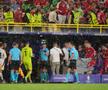 Imagini apocaliptice la Germania - Danemarca de la Euro 2024