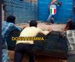 Donnarumma împinge camionul italian