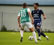Imagini din meciul amical dintre Jablonec - FC Botoșani. Foto: Facebook Botoșani