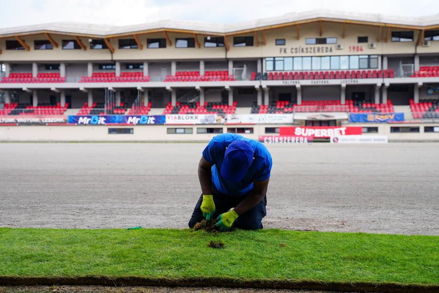 Lucrări la gazonul de pe stadionul celor de la Csikszereda // foto: Facebook S-a schimbat regulamentul pentru Csikszereda » Decizie de urgență luată la FRF