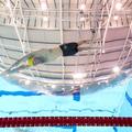 Kyle Chalmers sărind în bazin FOTO Guliver/GettyImages