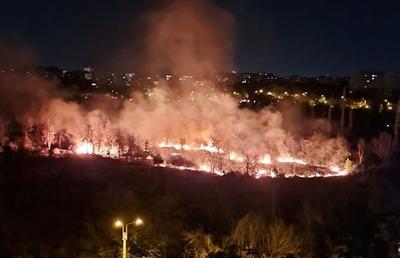 Incendiu puternic în parcul IOR din București » Fumul a ajuns în mai multe zone ale Capitalei