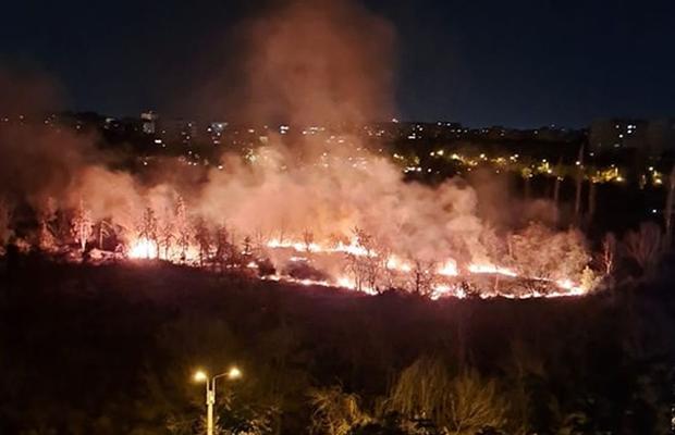 Incendiu puternic în parcul IOR din București » Fumul a ajuns în mai multe zone ale Capitalei