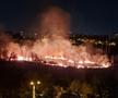 Incendiu puternic în parcul IOR din București » Fumul a ajuns în mai multe zone ale Capitalei
