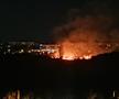 Incendiu puternic în parcul IOR din București » Fumul a ajuns în mai multe zone ale Capitalei