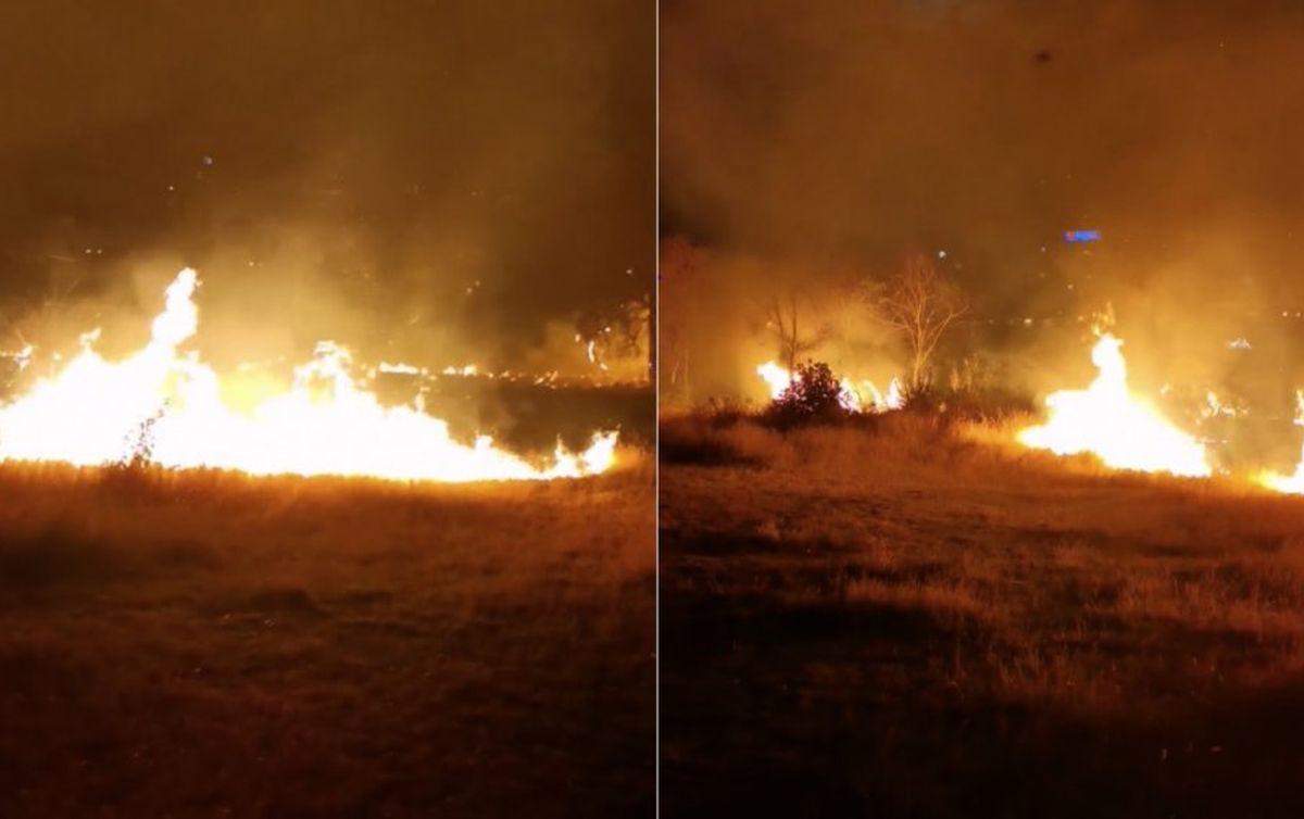 Incendiu puternic în parcul IOR din București » Fumul a ajuns în mai multe zone ale Capitalei