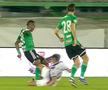 Duel Davordzie - Florin Borța în FC Argeș - Sepsi