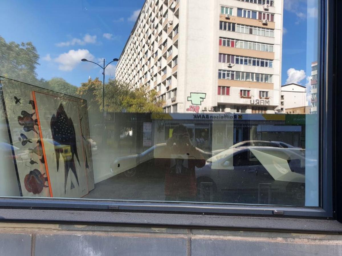 EXCLUSIV / FOTO Aici va fi noua casă a lui Dinamo: „Rămâne să vedem când semnează actele”