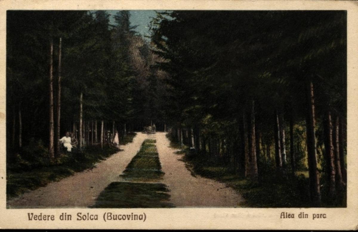Senzaționala Solca - tentația lui Lucescu și Becali