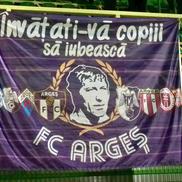 FC Argeș - CFR Cluj, imagini de la stadion / FOTO: Andrei Furnigă (GSP)
