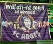 FC Argeș - CFR Cluj, imagini de la stadion / FOTO: Andrei Furnigă (GSP)