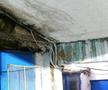 Tribune Gloria Bistrița