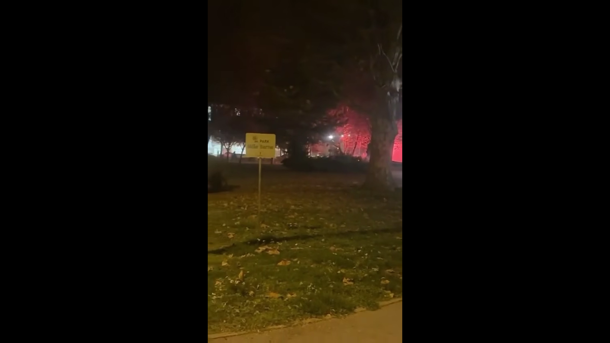 După meciul cu FCSB, temuții ultrași ai Stelei Roșii Belgrad s-au bătut cu altă galerie celebră din Europa