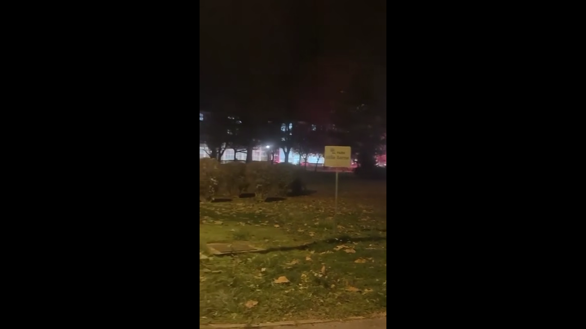 Bătaie între ultrașii Stelei Roșie Belgrad și cei ai lui Dinamo Zagreb