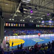 România - Japonia, duel la Campionatul Mondial de handbal feminin/Foto: Ionuț Iordache (GSP.ro)