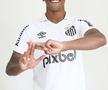 Santos își modifică stema clubului în onoarea legendarului Pele. Foto: Instagram @santosfc
